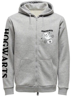 Harry Potter Waiting For Letter Zip-Hooded Sweater Female Grau Meliert