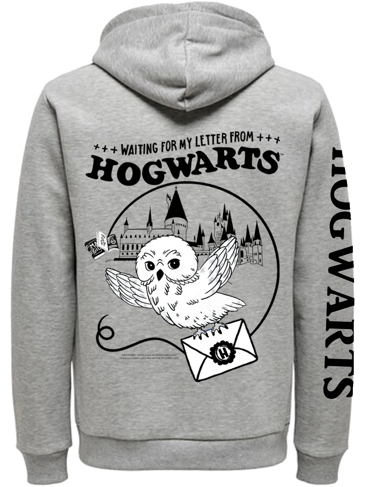 Harry Potter Waiting For Letter Zip-Hooded Sweater Female Grau Meliert - Image 2
